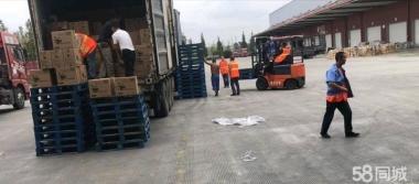 專業誠信搬家服務 廂貨、金杯、面包車齊全，人工打包搬運全程無憂